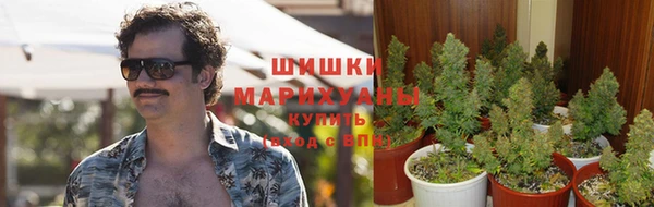 тгк Саяногорск