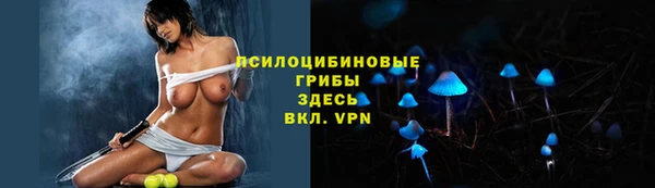 apvp Михайловка