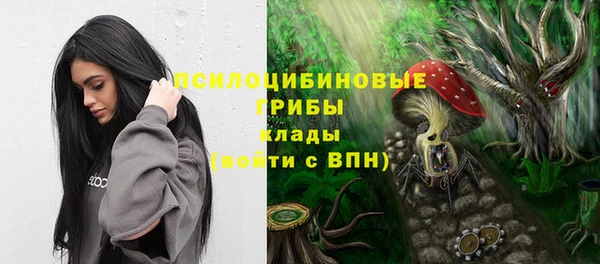 apvp Михайловка