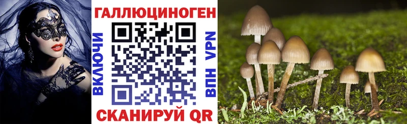 Псилоцибиновые грибы мухоморы  гидра ССЫЛКА  Шатура 