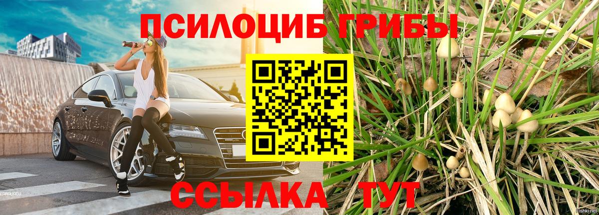 Псилоцибиновые грибы ЛСД  Шатура 