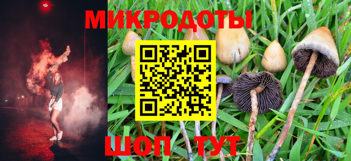 Псилоцибиновые грибы GOLDEN TEACHER Шатура